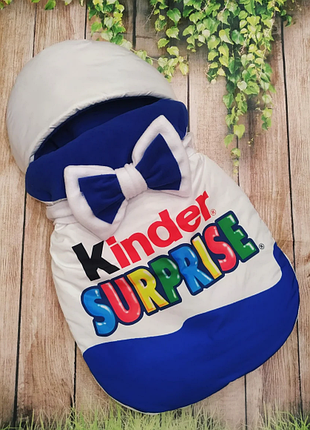 Конверт - спальник на выписку плащевка  деми, зима, разные цвета