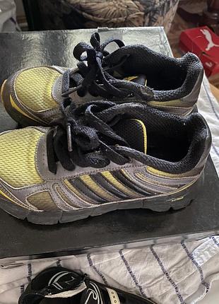 Кросівки adidas
