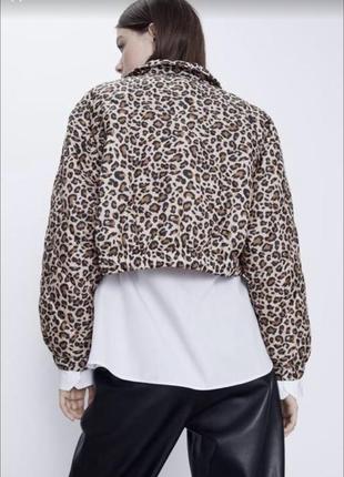 Демисезонная куртка zara размер м принт леопард5 фото