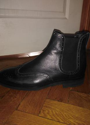 Челси vibran3 фото