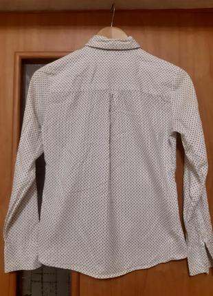 Блуза в горох (можно беременным, кормящим, для кормления))5 фото