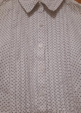 Блуза в горох (можно беременным, кормящим, для кормления))2 фото