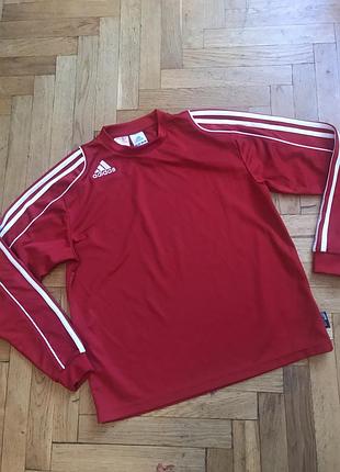Червоний світшот adidas,climalite