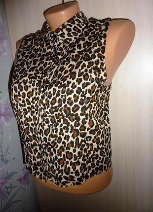Короткая кофточка, блуза на пуговках h&m, размер s, леопардовый принт.2 фото