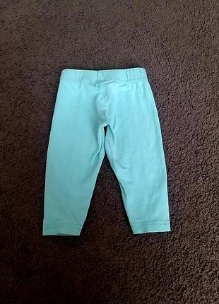 Лосины, бриджи