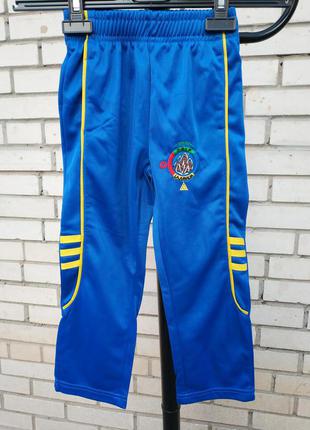 Детские спортивные штаны испания champions kloo европа оригинал
