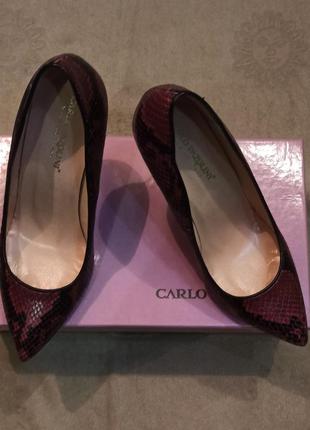 Нові жіночі туфлі з натуральної шкіри carlo pazolini, розмір 392 фото