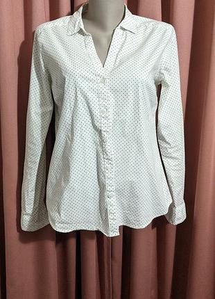 Батник в горошек h&m