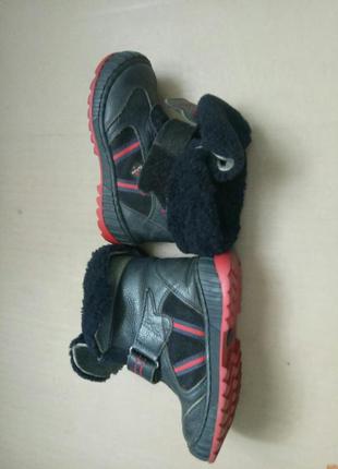 Зимние ботинки сапожки кожаные tofino1 фото