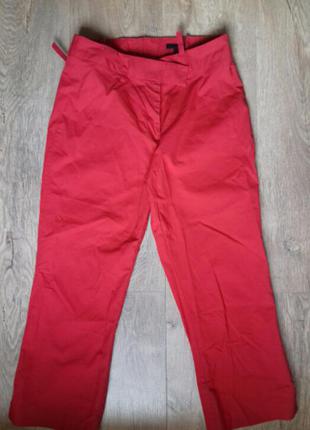 Штани-бриджі жіночі