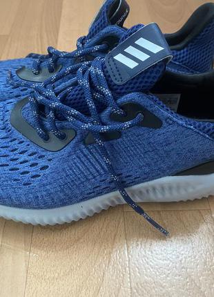 Красавки adidas