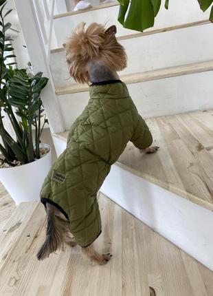 Комбинезон двухсторонний стёганый для собак
