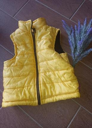 Жилетка