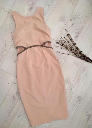 Нюдове пудрове плаття міді футляр з бісером