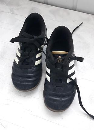 Кроссовки кеды