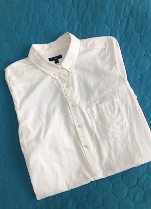 Gap біла сорочка oxford , m