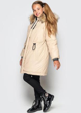 Парка кимберли 3