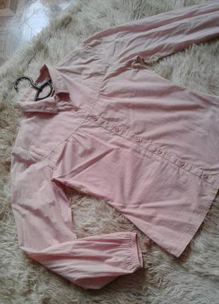 Рубашка, блуза hooch нежно розовая 100% хлопок р 126 фото