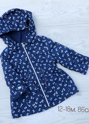 Вітровка, куртка