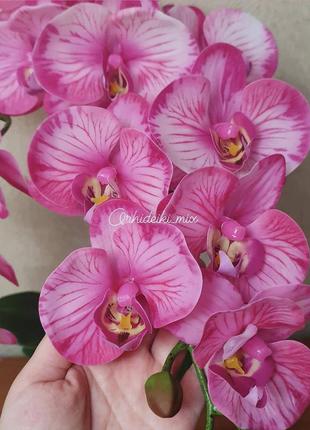Орхидея латексная премиум класса3 фото