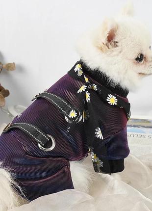 Одяг для собак