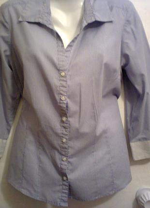 Рубашка в мелкую  полоску