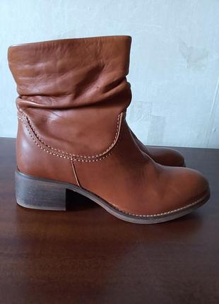 Демісезонні шкіряні напівчоботи cellini португалія 39р. нові.