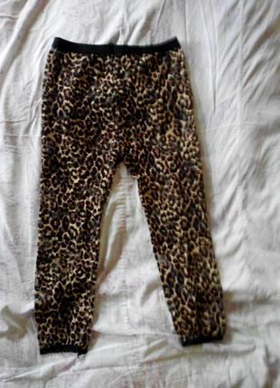 Бриджы гипюр  лео