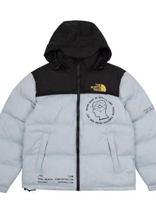 Пуховики thenorthface