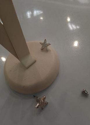 Сережки гвоздики пуссети