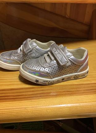 Кеди хай топи