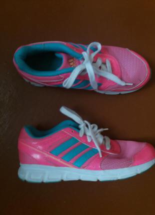 Кросівки р. 36 - 36.5.бренд.