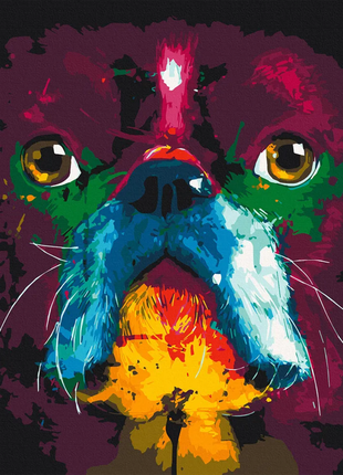 Картина по номерам французский бульдог ac11628