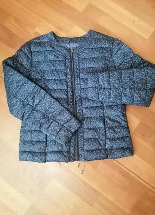 Куртка демисезонная женская, синяя. ostin, р. 50