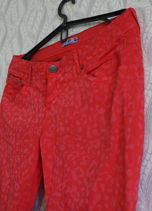 Ajc штани коралово-червоні в принт леопард4 фото