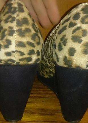 Стильні леопардові туфлі еко замша  р36 claudia chizzani2 фото