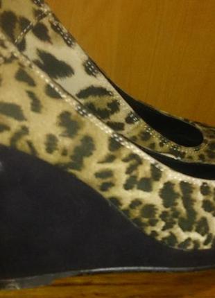 Стильні леопардові туфлі еко замша  р36 claudia chizzani1 фото