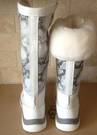 Зимние сапоги ugg australia.adirondack tall iii snake snow boot.    оригинал4 фото