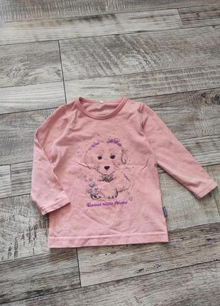 Розовый лонгслив, хлопковая кофта собачка