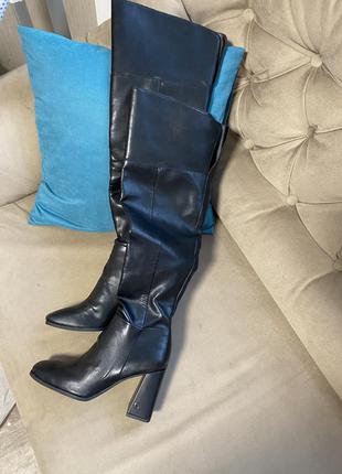 Чоботи ботфорти sam edelman