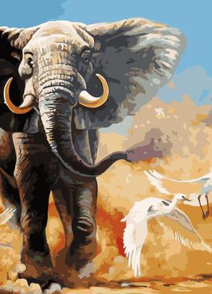 Картина за номерами лавка чудес біжить слон