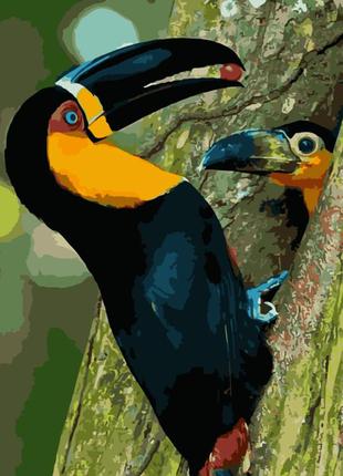 Картина за номерами лавка чудес тукан аріель