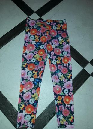 Лосини george на 5-6років