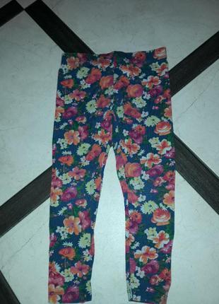 Лосини george на 5-6років