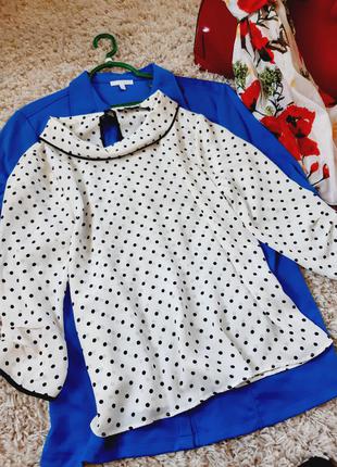 Стильная блуза в горох,zara,  p. s7 фото