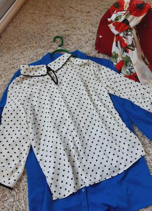 Стильная блуза в горох,zara,  p. s3 фото