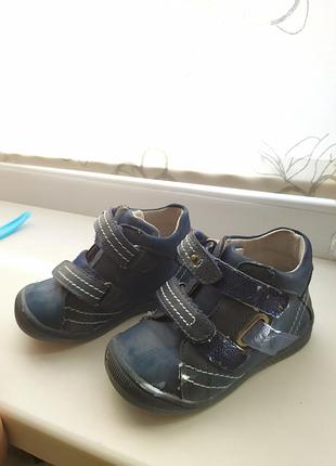 Хайтопи, черевики, apawwa, шкіряні 21 р.