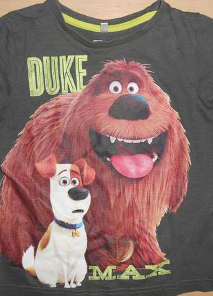 Стильний реглан на 5-6 років.