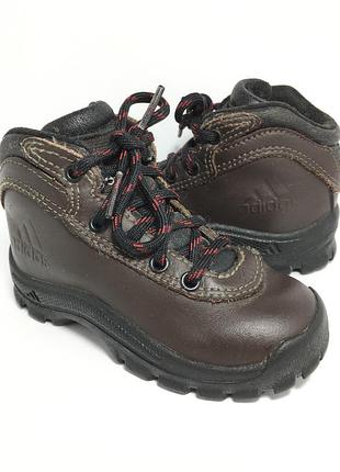 Оригінальні шкіряні кросівки adidas