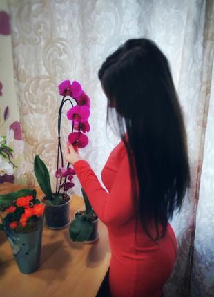 Платье женское,,karolina,, 4